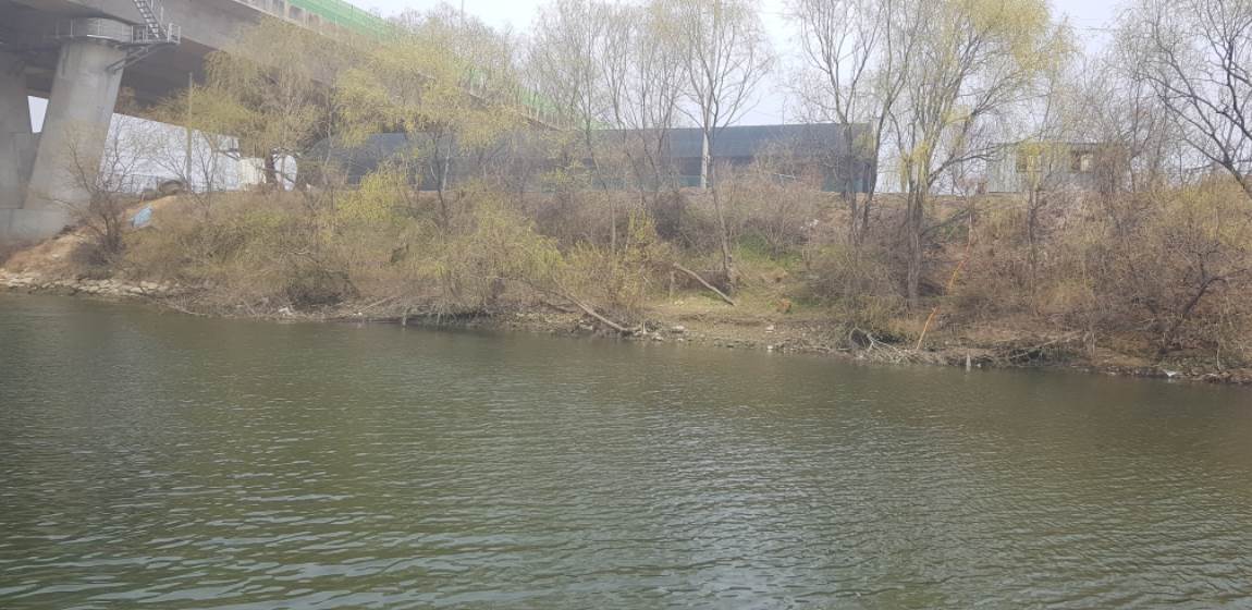 20190328_125600.jpg