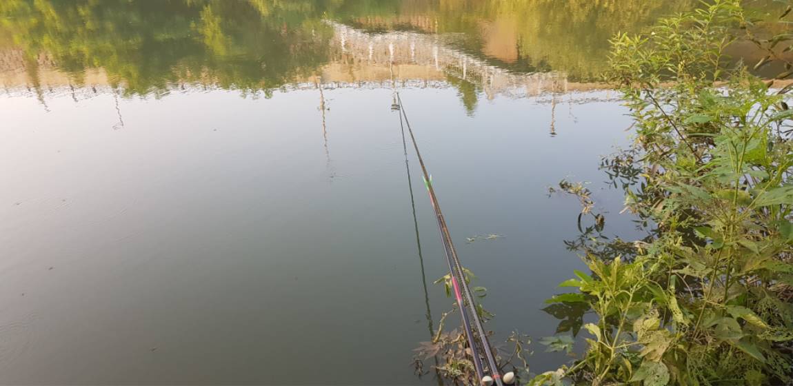 20190802_185346.jpg