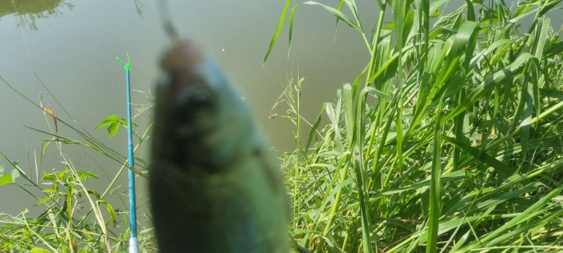 20240904_143328.jpg