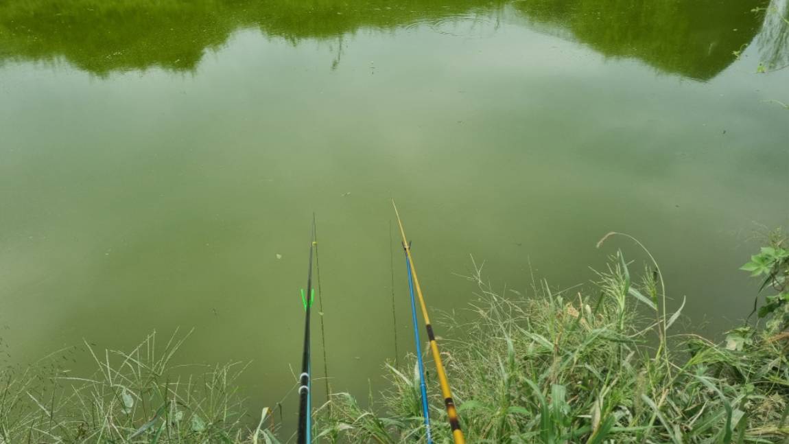 20260924_135549.jpg