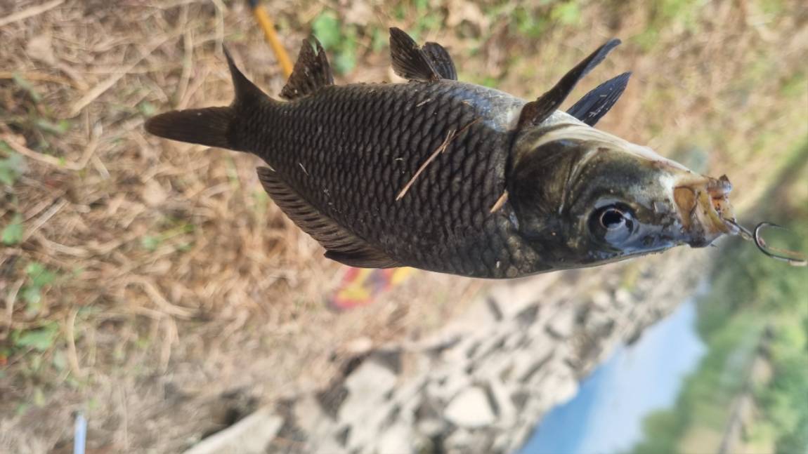 20260924_122308.jpg