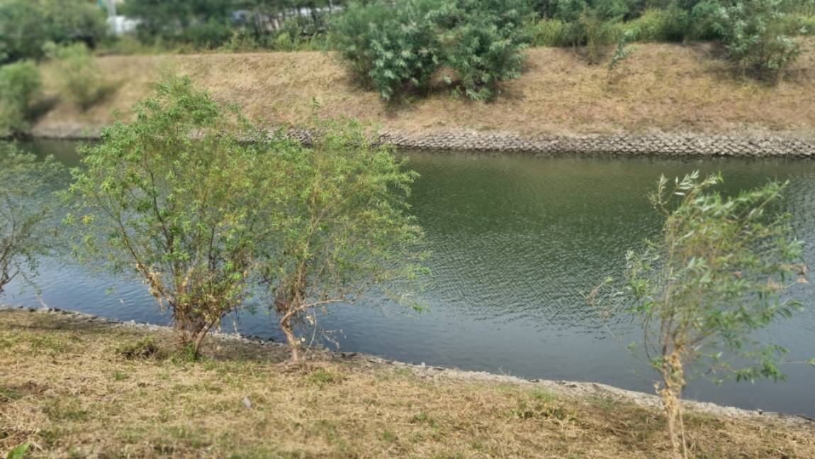 20260924_132141.jpg