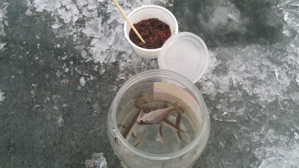 20140117_170806.jpg