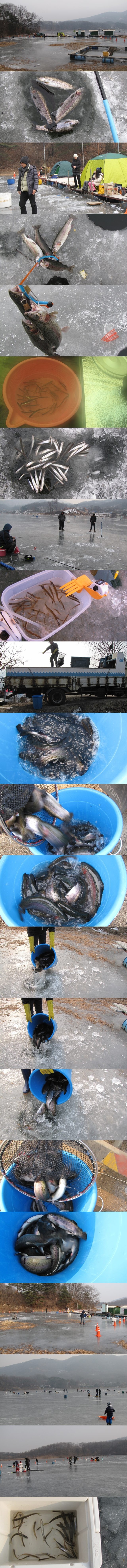 fkdlqmfl339.jpg