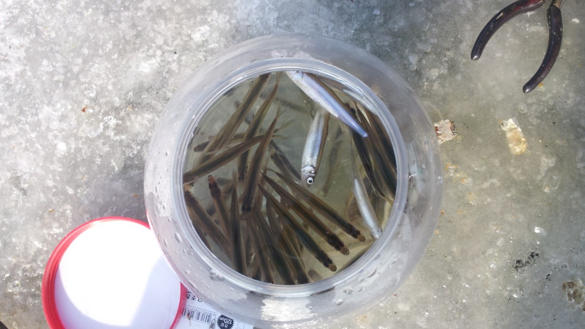 20140123_122443.jpg
