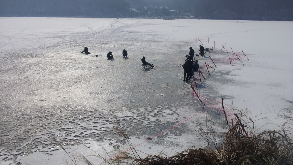 20140123_125036.jpg