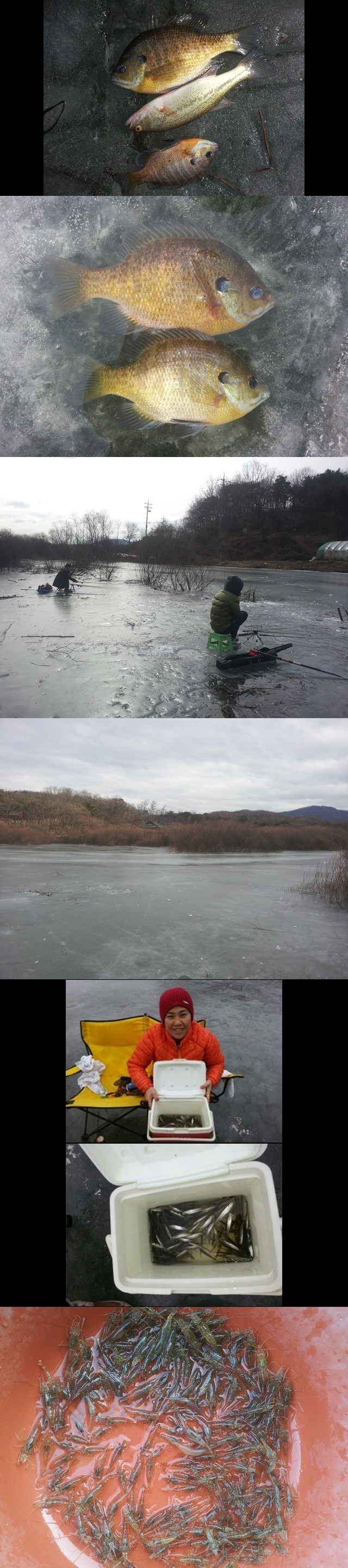 2014-02-07 14.03-vert.jpg