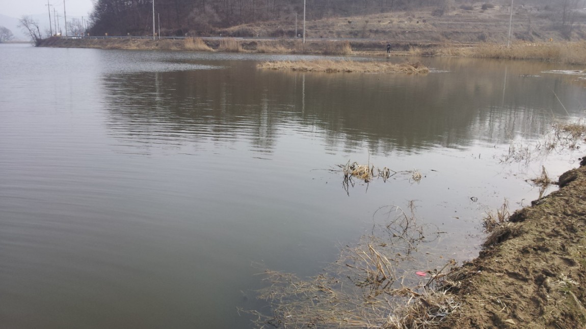 20140227_140754.jpg