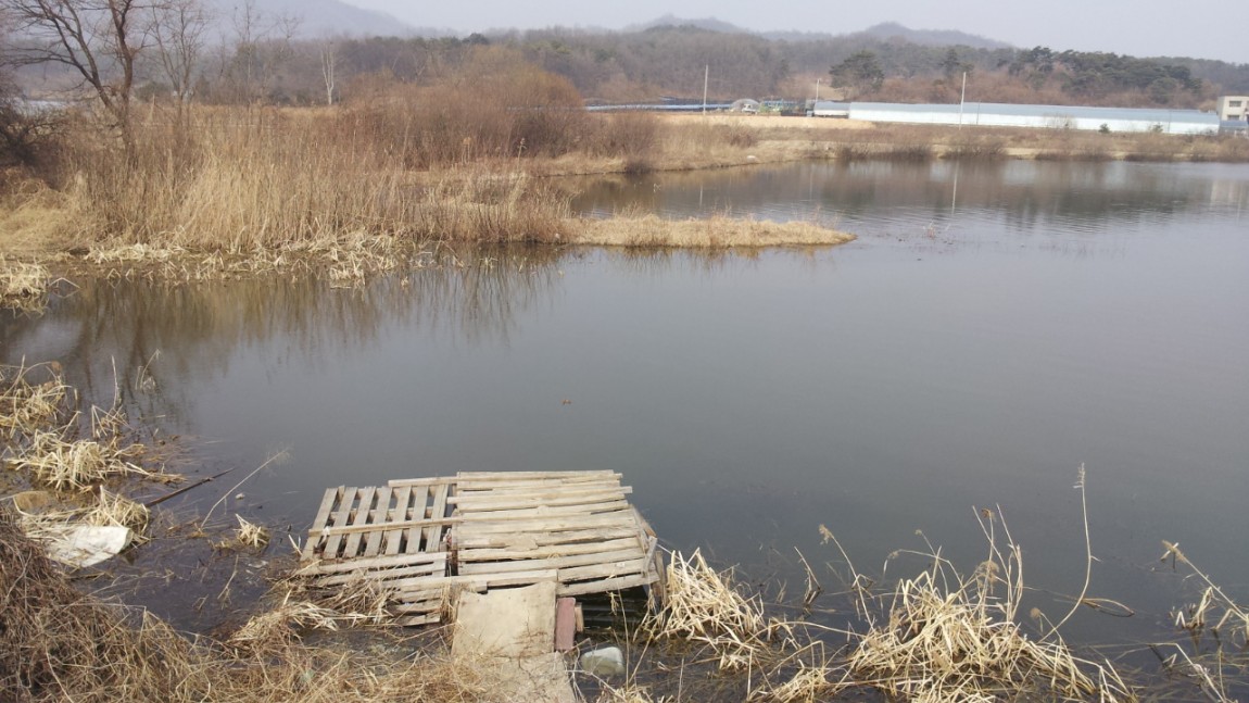 20140227_141046.jpg