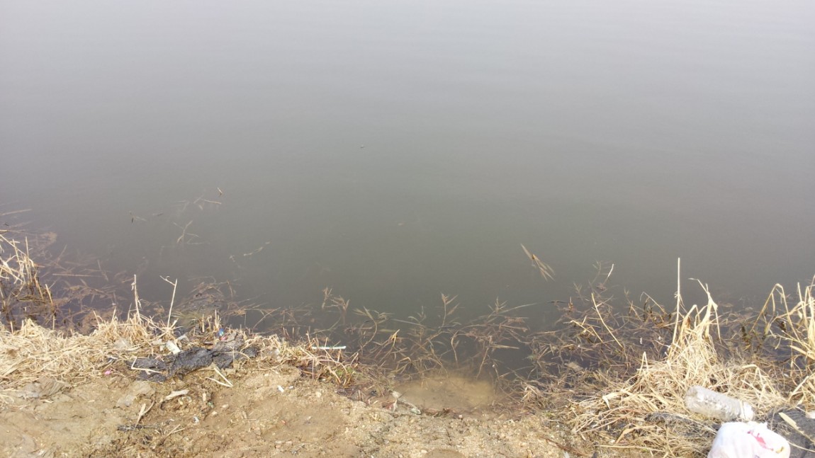 20140227_141136.jpg