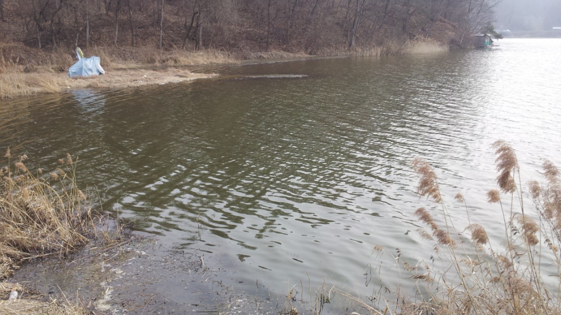20140227_142429.jpg