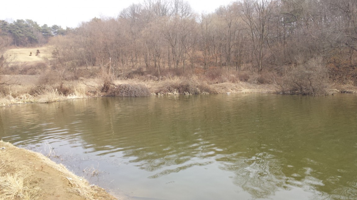 20140227_143241.jpg
