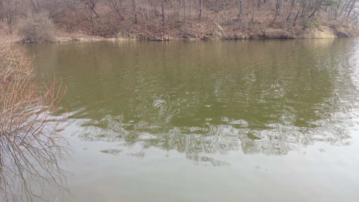 20140227_143301.jpg