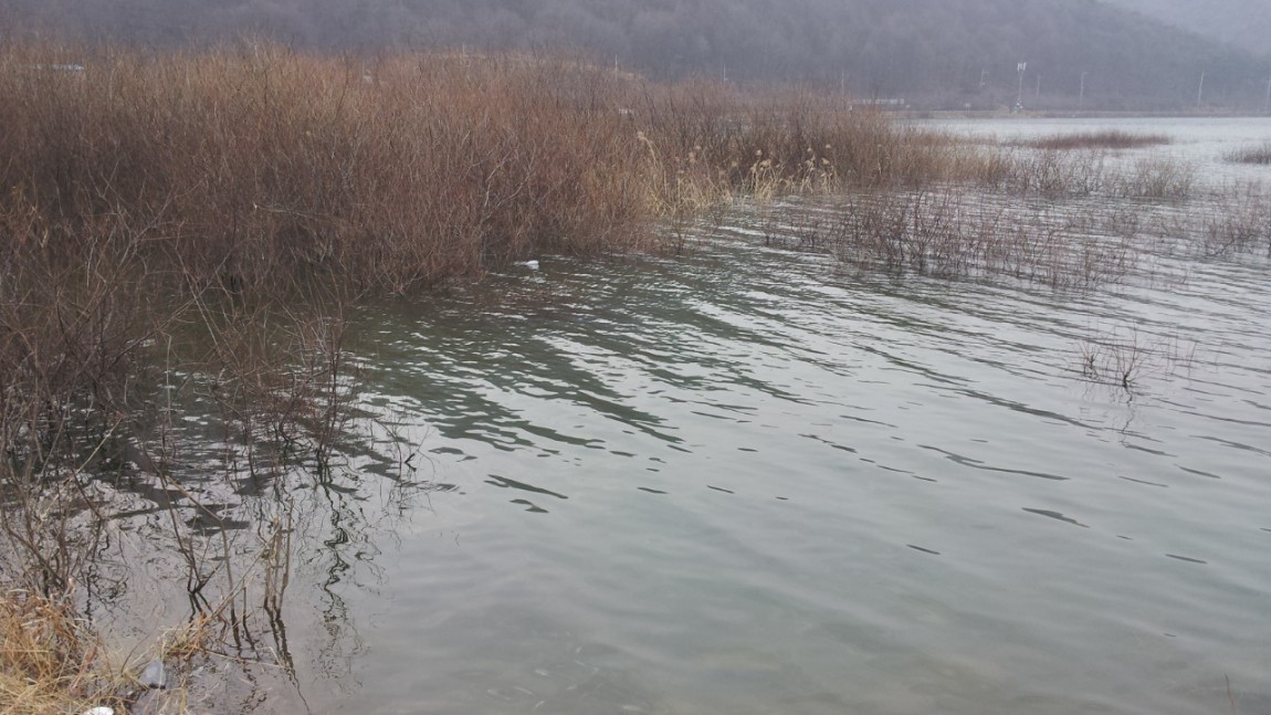 20140227_150503.jpg