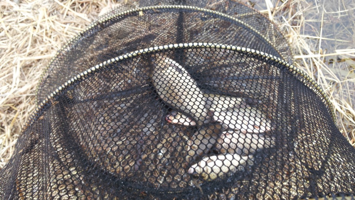 20140227_150735.jpg
