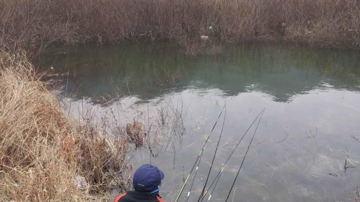 20140227_150812.jpg