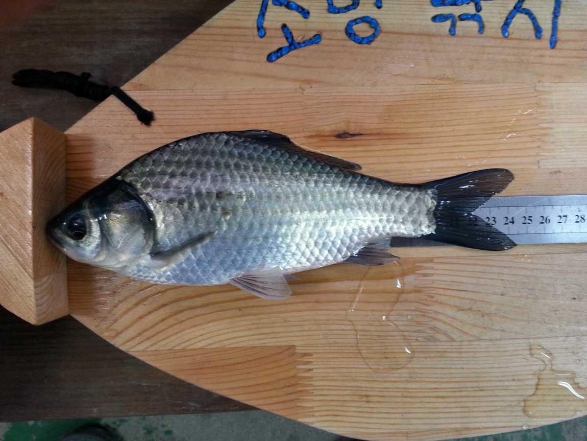 20140321_165930.jpg