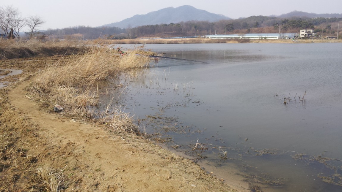 20140323_152113.jpg