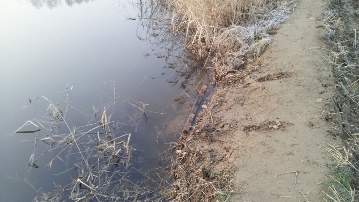 20140324_064807.jpg