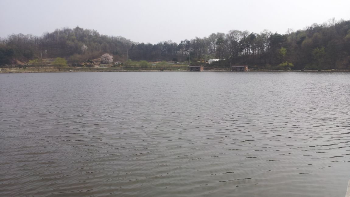 20140413_144709.jpg