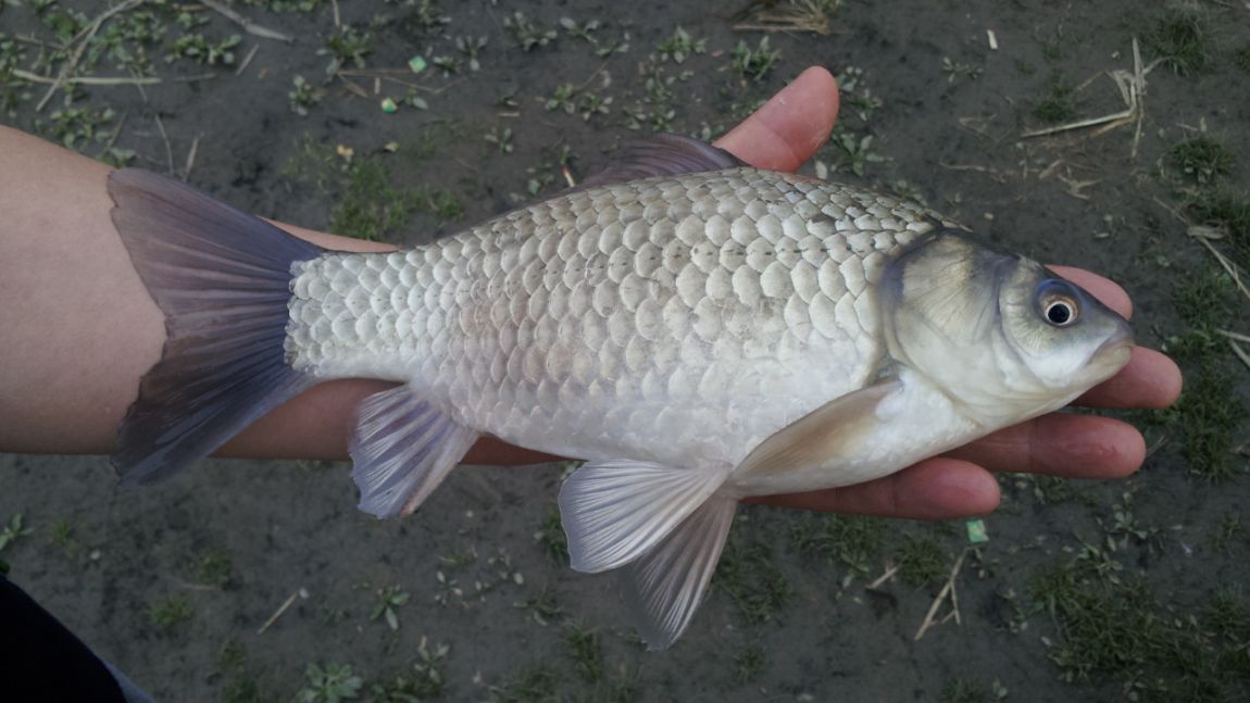 20140413_183714.jpg