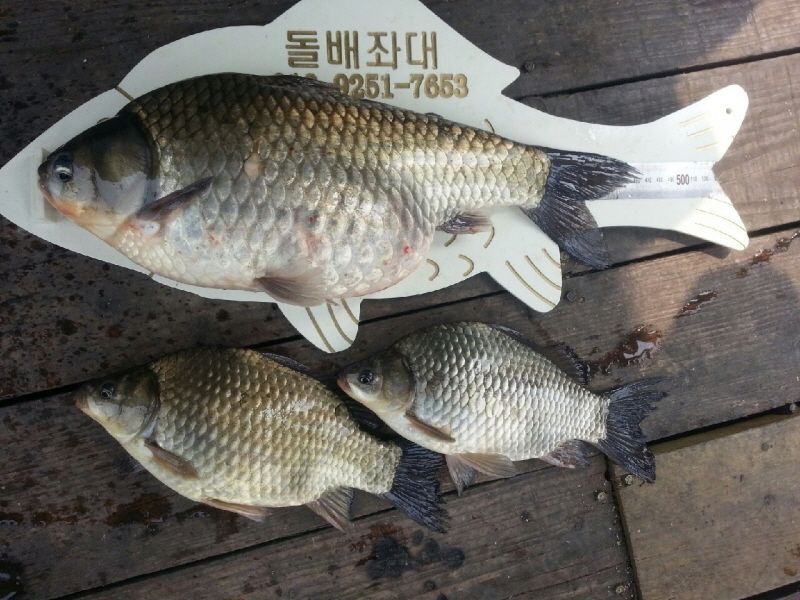 20140415_122229.jpeg
