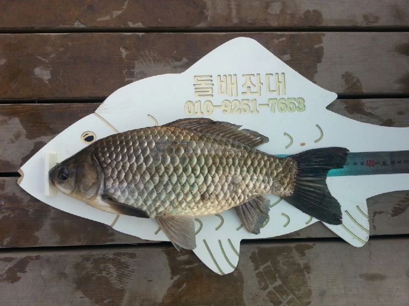 20140415_073203.jpeg