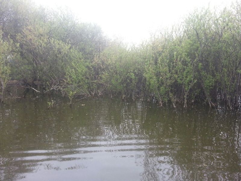20140416_102245.jpeg