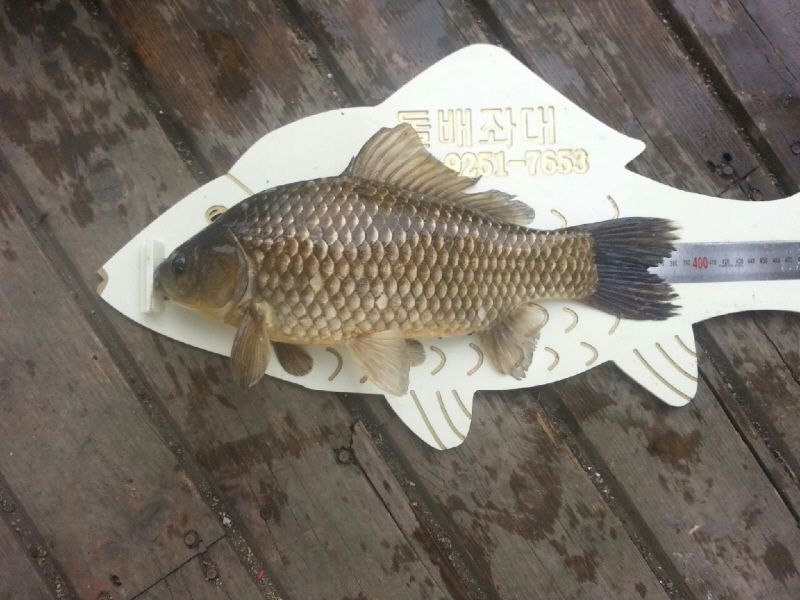 20140416_102321.jpeg