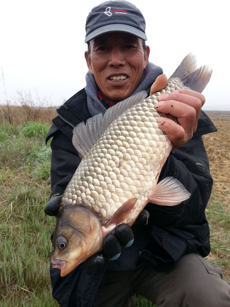 ��ȫ���� 40cm �ؾ� ���� ����� �빰 �����մϴ�2.jpg