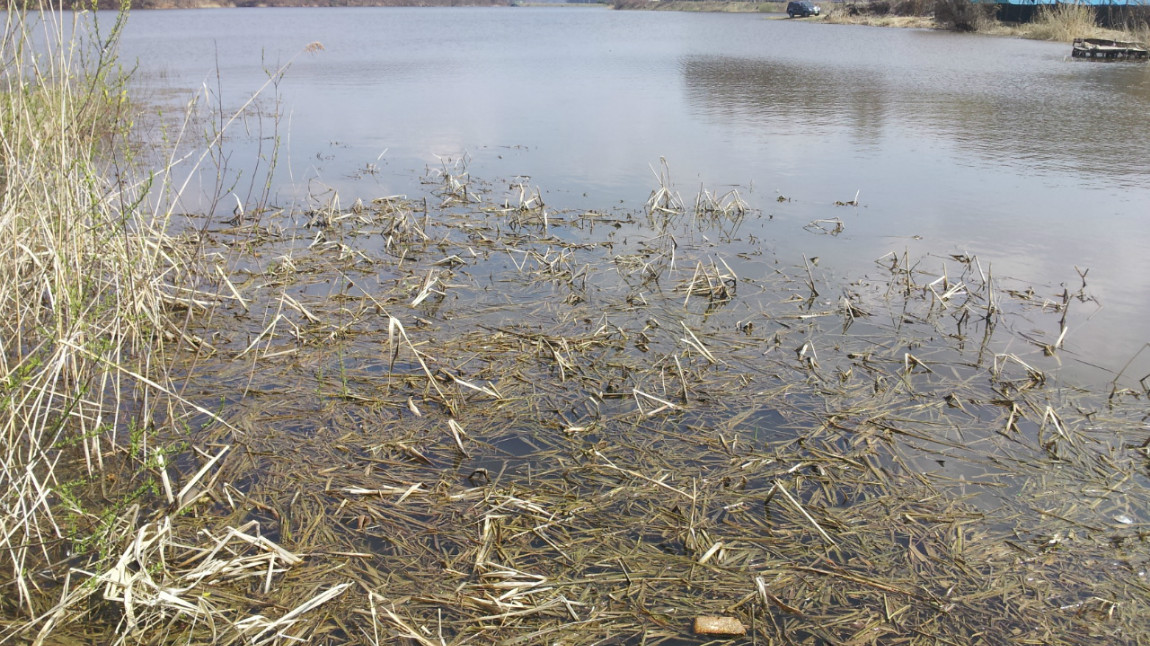 20140330_141421.jpg