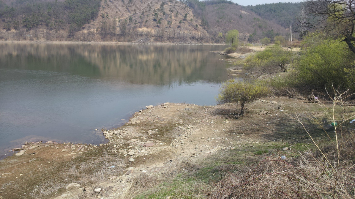 20140401_115941.jpg