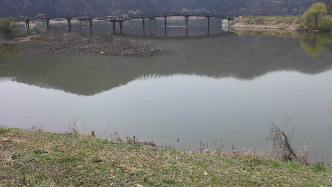 20140401_121415.jpg