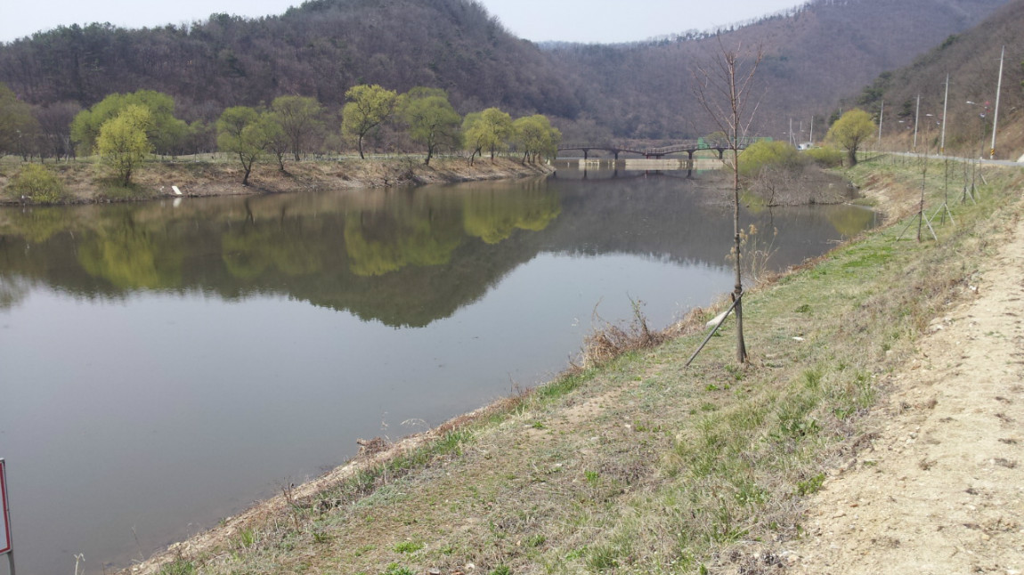 20140401_121426.jpg