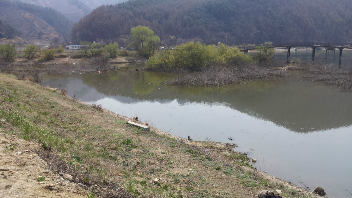 20140401_121448.jpg