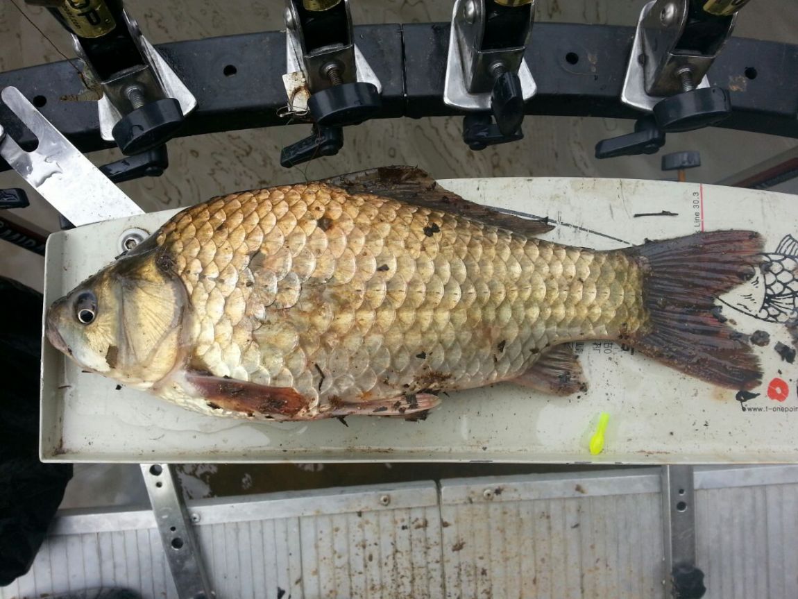 ����� 094.jpg