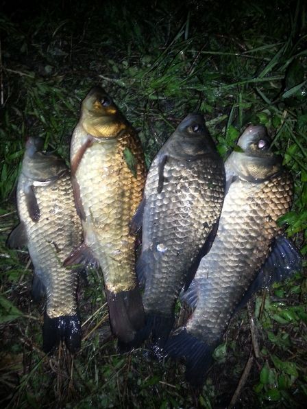 ũ�⺯ȯ_ũ�⺯ȯ_����� 048.jpg