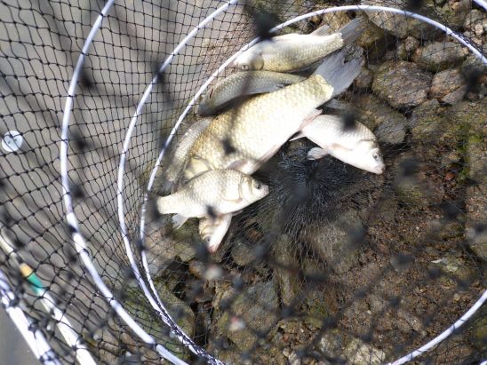 ũ�⺯ȯ_����� 011.JPG