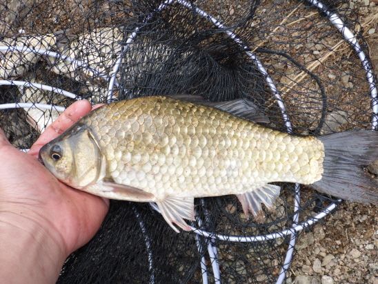 ũ�⺯ȯ_����� 012.JPG