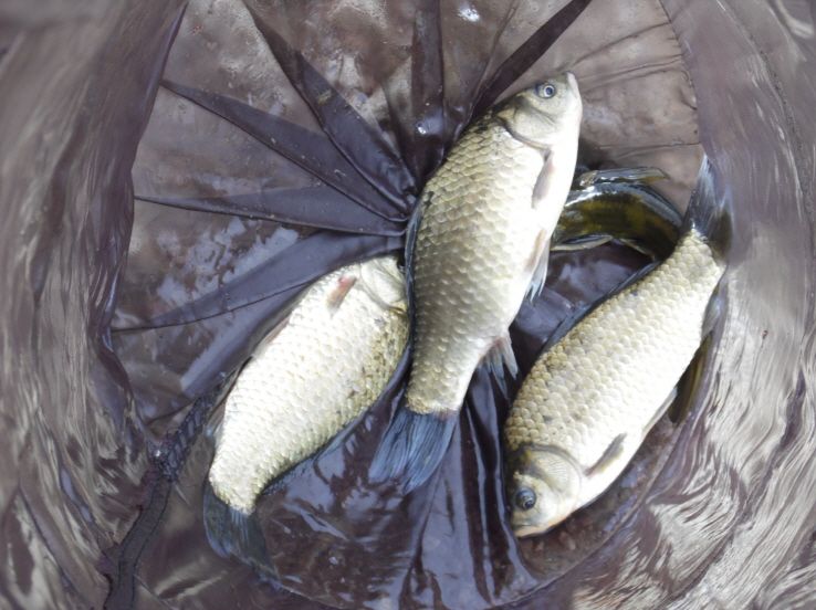 ũ�⺯ȯ_����� 017.JPG