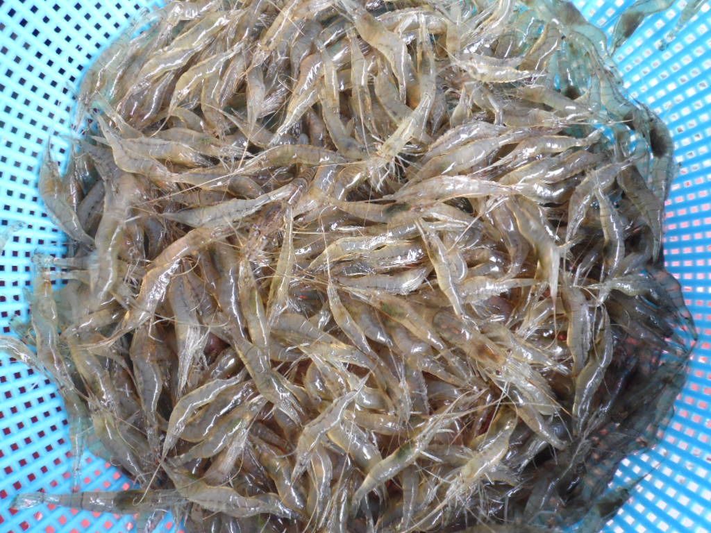 ũ�⺯ȯ_015.JPG