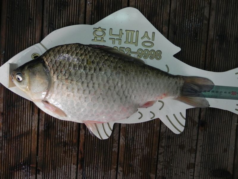 ����2 002.jpg