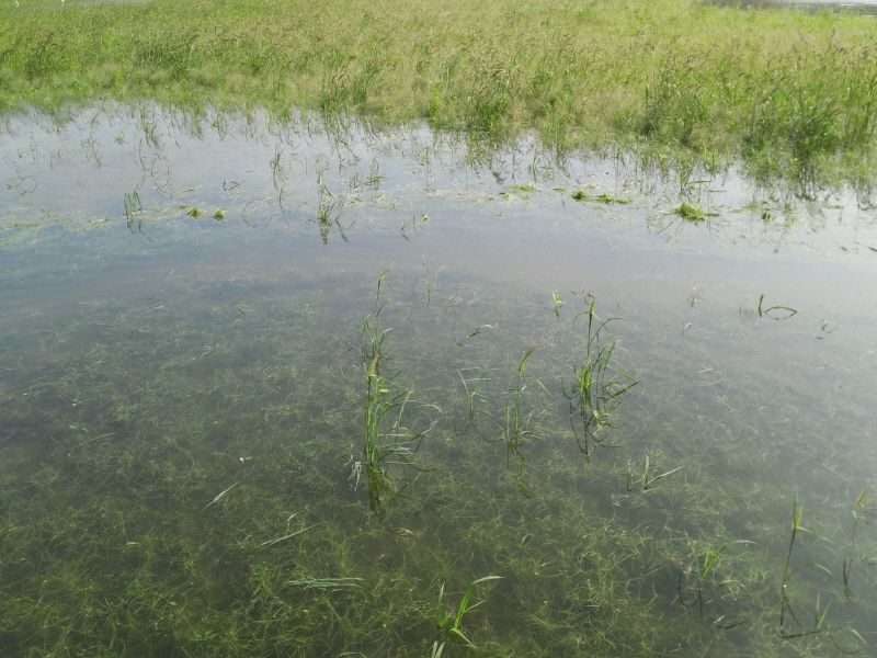 ����2 005.jpg