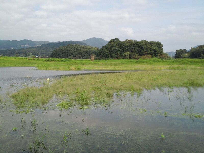 ����2 007.jpg