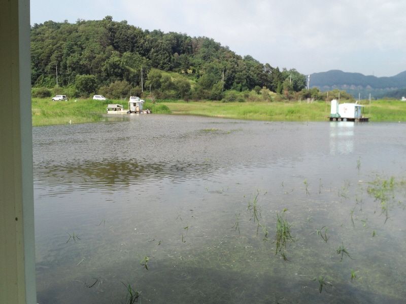 ����2 006.jpg