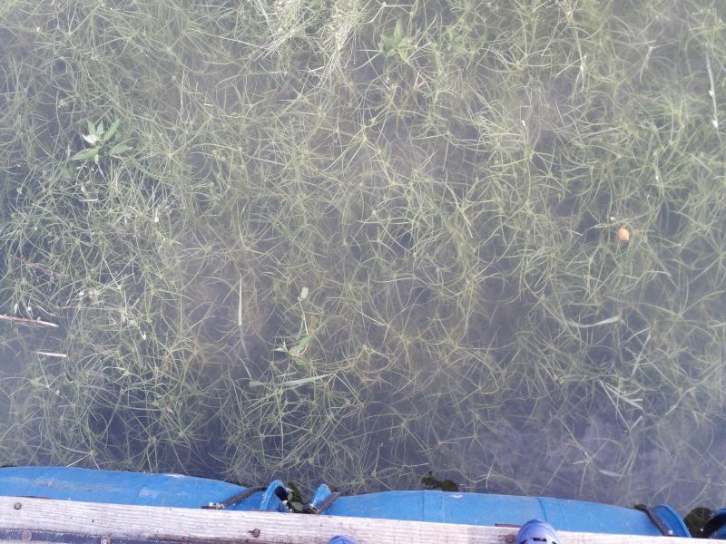 ����2 009.jpg