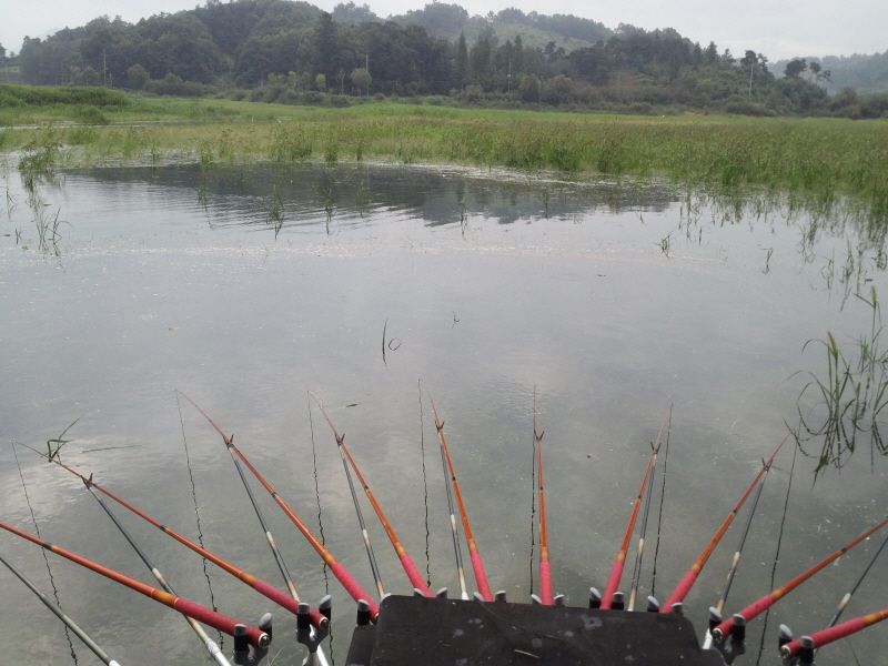 ����2 010.jpg