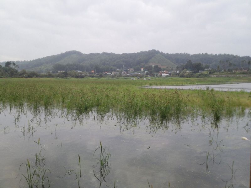 ����2 011.jpg