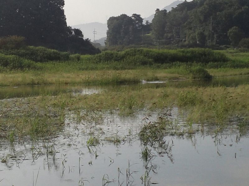 ����2 012.jpg