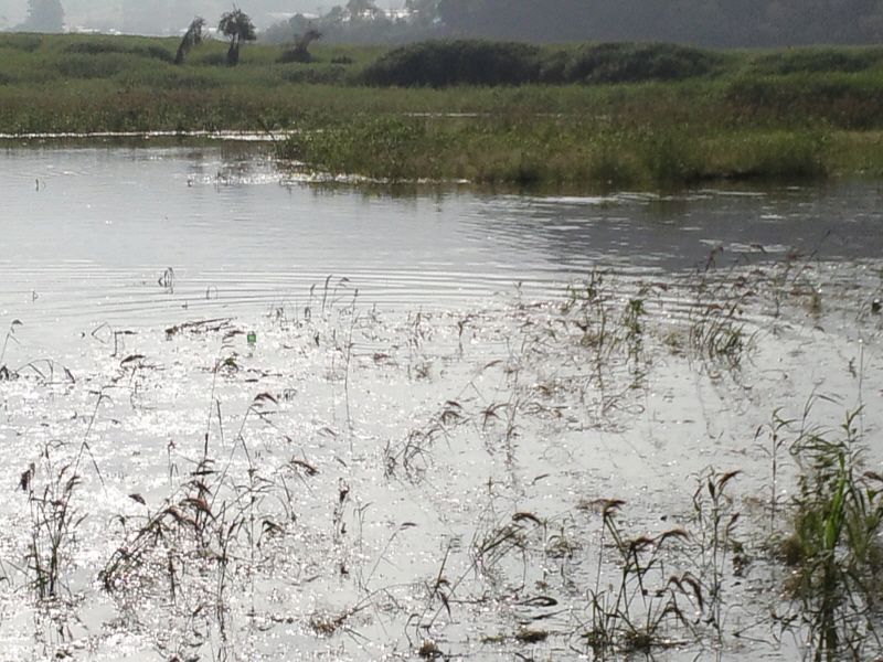 ����2 013.jpg